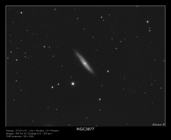NGC3877