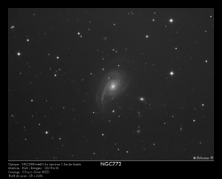 NGC772